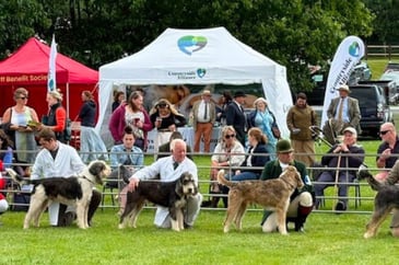 Wales and Border Counties Hound Show set for spectacular event