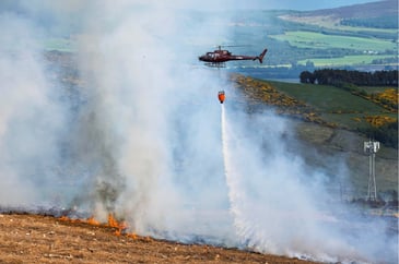 Tim Bonner: The wildfire warning ministers and the RSPB can't ignore