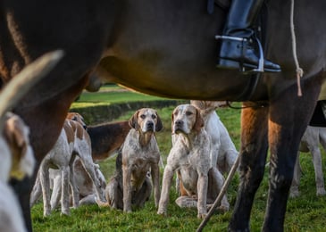 Social media - facts, figures and what they mean