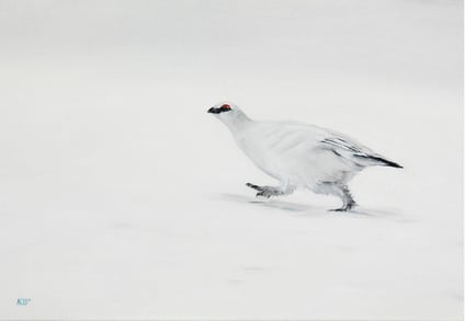 Christmas Cards 2025 - Rushing for Dinner.pdf