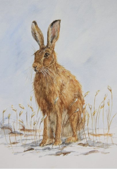 Christmas Cards 2025 - Winter Watch.pdf