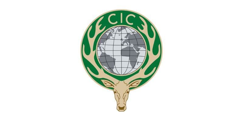 CIC