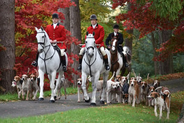 Tim Bonner: Why the culture of the countryside matters