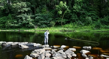  [Fishing For Schools] 