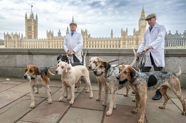 Hounds in Town - hunting campaign raises awareness in London