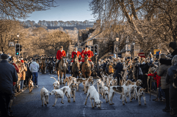 Huntmen and hounds at a Boxing Day meet