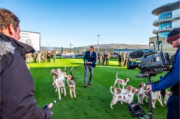 A new home for Countryside Alliance members on Countryside Day at Cheltenham