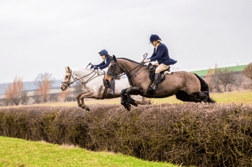 Horses and riders hedge jumping