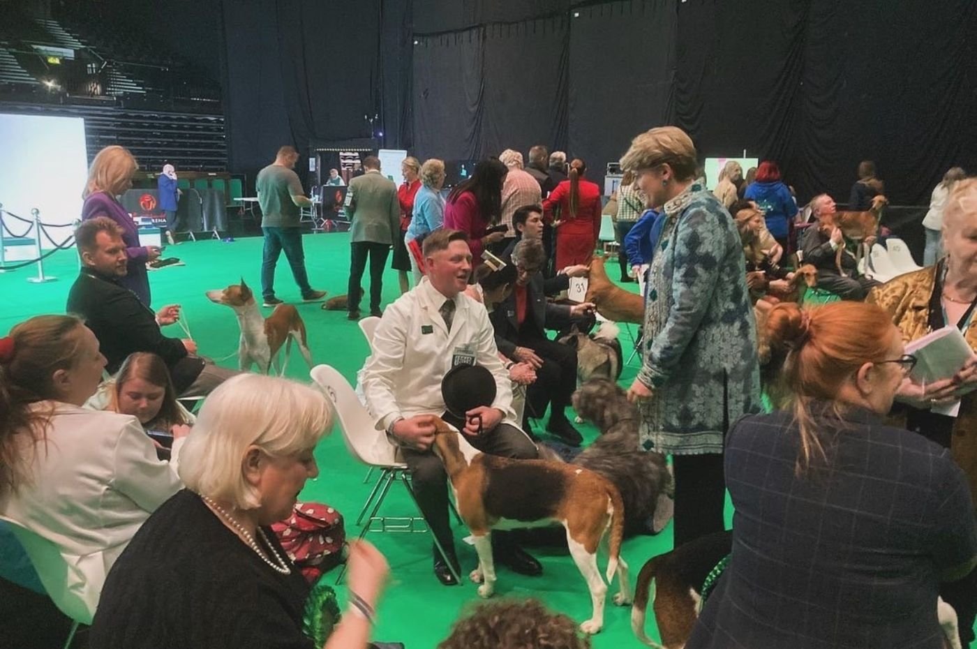 Holcombe Harriers at Crufts 2024_Credit_1400x930px