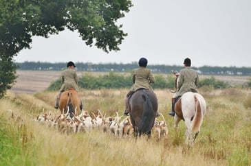 Gloucestershire County Council votes to move trail hunt ban motion to a scrutiny committee, while rejecting its anti-hunt wording