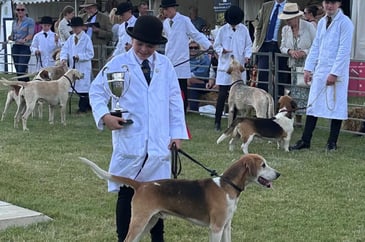 Young handler at the Festival of Hunting