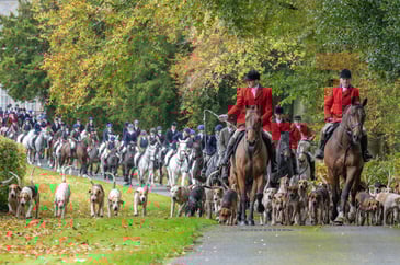 Defending rural Ireland: Why the Fox Hunting Ban Bill threatens more than tradition