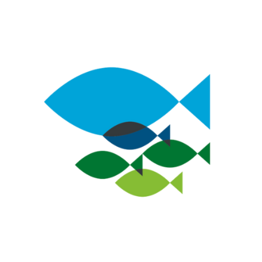 Fishing for Schools favicon