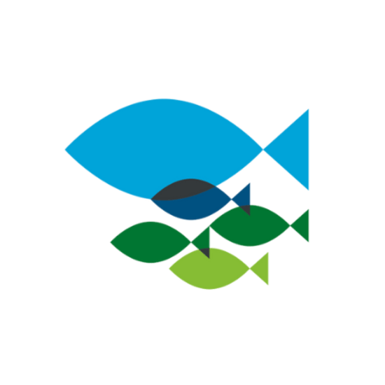 Fishing for Schools favicon