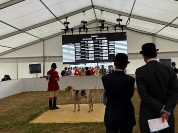 Much to celebrate at Peterborough