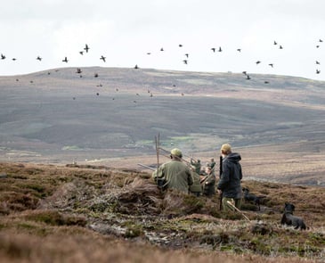 Grouse moors braced for major changes in wake of Werritty Review