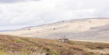  [Shooting, Rural Communities] 