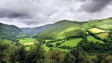 Countryside Alliance Wales launches Senedd election manifesto