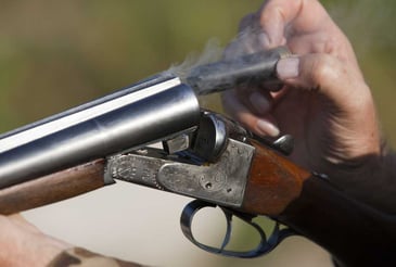 DUP opposition to firearms fee hike shows growing concern over proposals