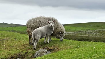  [Scotland, Rural Communities] 