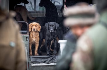 Tim Bonner: Warm beer, black Labradors and the politics of prejudice