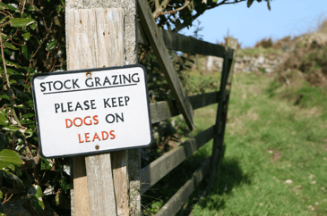 'Keep dogs on leads' sign on a gate in the countryside