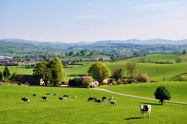 Tim Bonner: Will Labour attack the countryside?