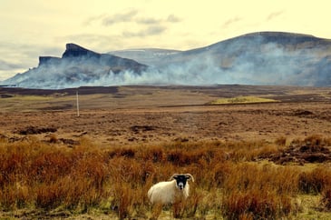 Heather burning in the Isle of Skye
