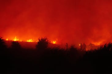 Tim Bonner: The end of rewilding?