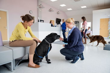 Tim Bonner: Vets, pets and the cost of care