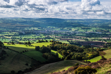 Welsh Government put a temporary hold on the proposed Glyndŵr National Park