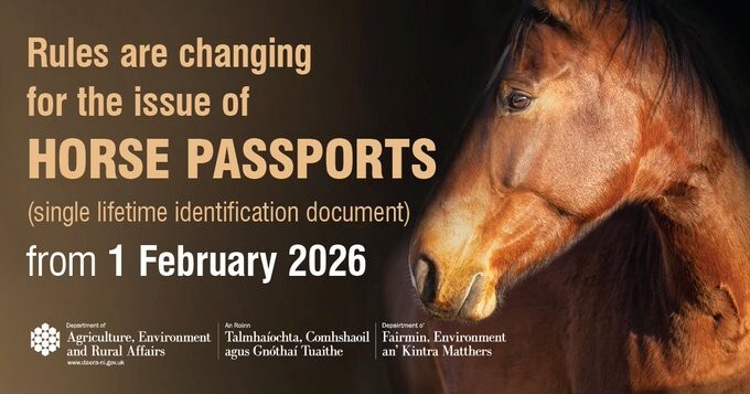 DAERA Horse Passports graphic_November 2025