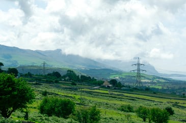 Senedd Members power on with anti-pylon campaign