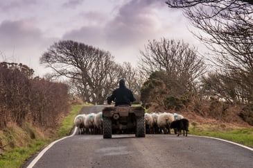 Gutted ATV theft law fails farmers