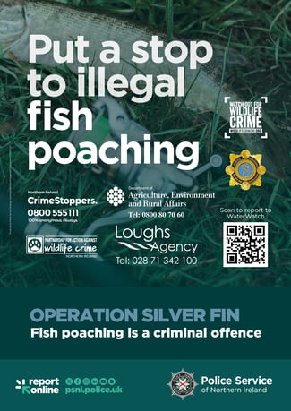 SCE0037-26 Fish Poaching Poster 04