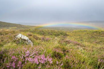 Scottish moorland
