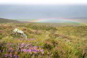 Moorland conference – The Wildlife Management and Muirburn Act
