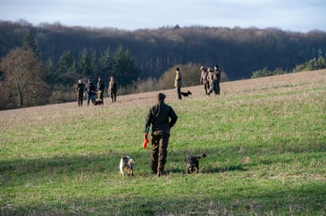 Beaters out in the field