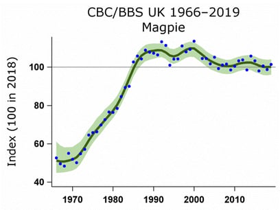 Magpie smoothed population index (with 85% confidence limits in green) for the UK 1966-2019 from the BTO/JNCC/RSPB Breeding Bird Survey BBS and Common Bird Census CBC) (Massimino et al., 2022)