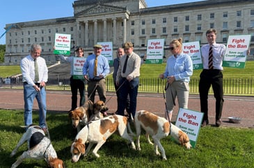 Hounds, shooting and Stormont