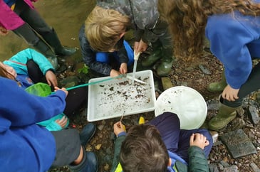  [Fishing, Fishing For Schools] 