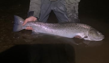  [Fishing For Schools] 