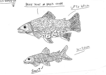 Bringing angling and countryside learning to life