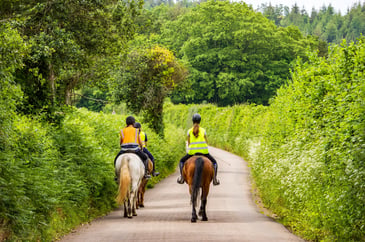 Riders urged to back BHS road safety campaign by downloading the Horse i app