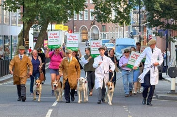 Tim Bonner: Let slip the hounds of war