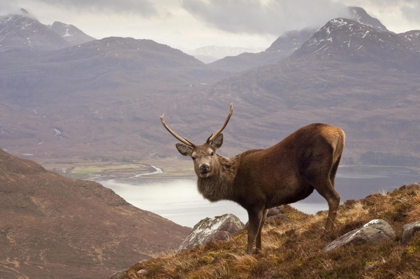 Natural Environment (Scotland) Bill