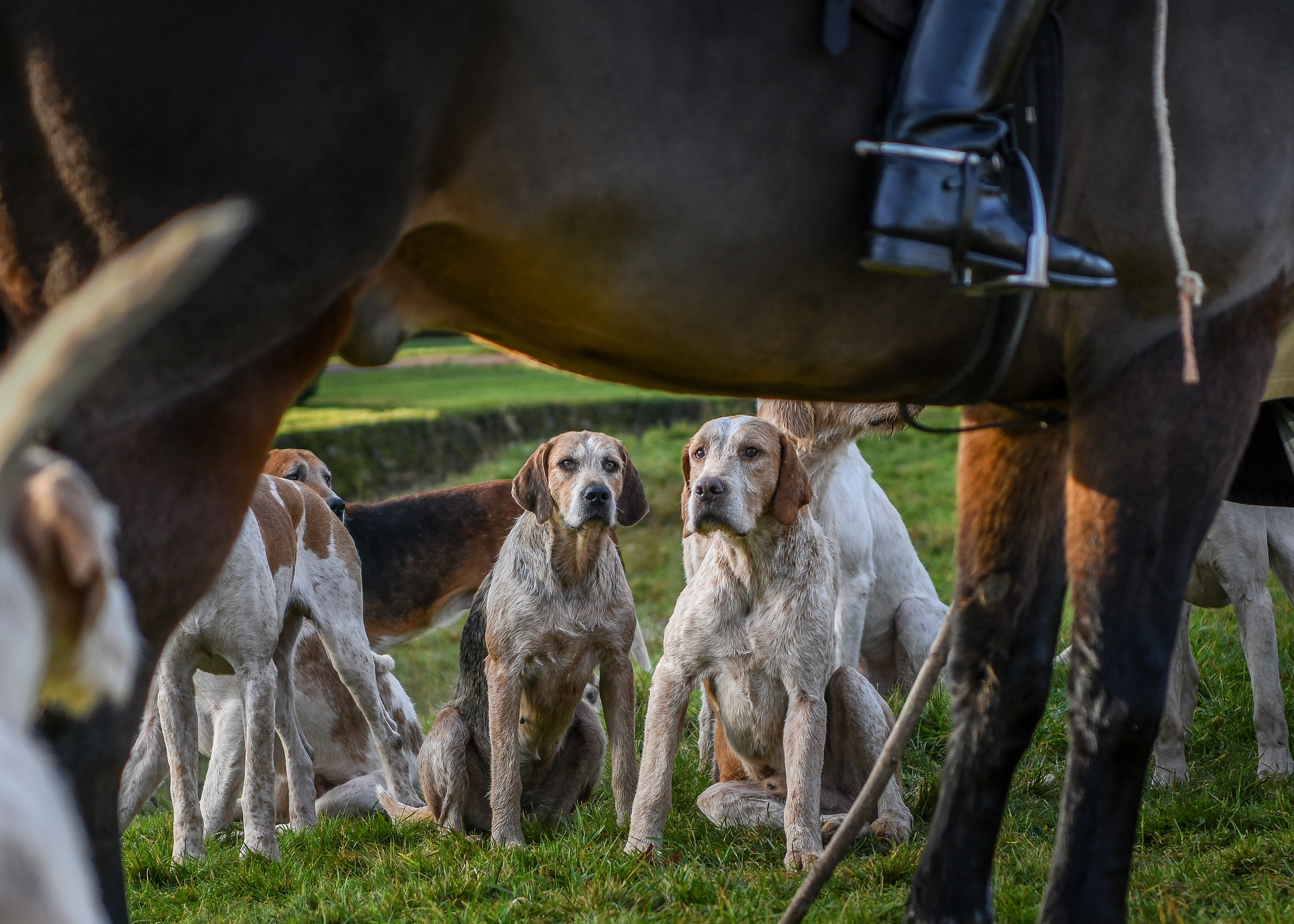 Social media - facts, figures and what they mean