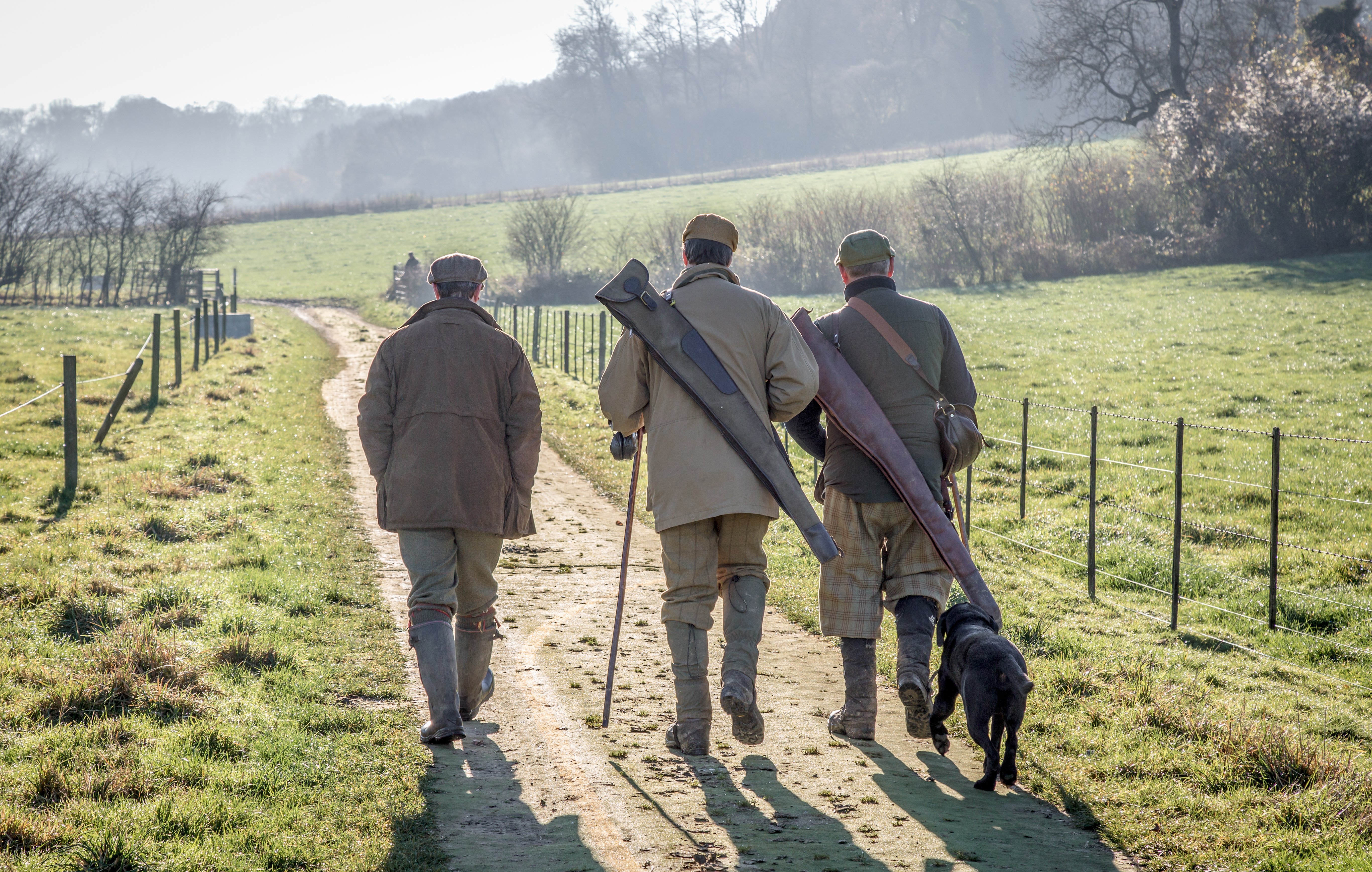 What to expect on your first driven pheasant or partridge day