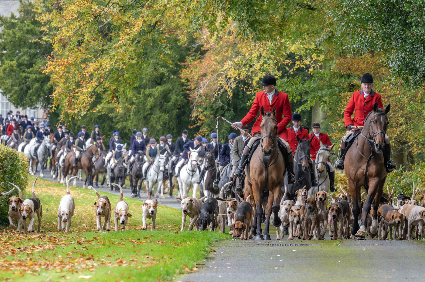 Defending rural Ireland: Why the Fox Hunting Ban Bill threatens more than tradition