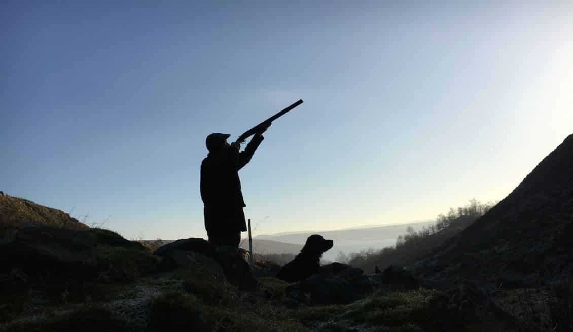 Westminster reshuffle: who now governs shooting?